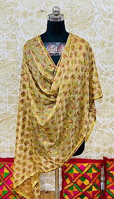 Chiffon Phulkari Dupatta-1