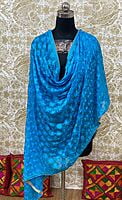 Chiffon Phulkari Dupatta-10 Chiffon Phulkari Dupatta-10