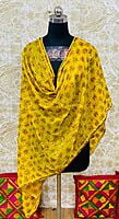Chiffon Phulkari Dupatta-11 Chiffon Phulkari Dupatta-11