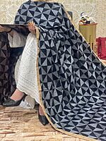 Chinon Single Tone Shaded Jaal Phulkari Dupatta-4 Chinon Single Tone Shaded Jaal Phulkari Dupatta-4