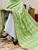 Chinon Single Tone Shaded Jaal Phulkari Dupatta-6 Chinon Single Tone Shaded Jaal Phulkari Dupatta-6