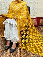Chikankari Afghani Dupatta Set-Mustard Chikankari Afghani Dupatta Set-Mustard