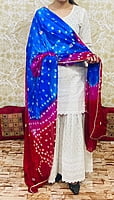 Chikankari Sharara Shaded Bandhani Dupatta Set-White-1 Chikankari Sharara Shaded Bandhani Dupatta Set-White-1