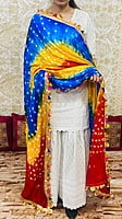 Chikankari Sharara Shaded Bandhani Dupatta Set-White-3 Chikankari Sharara Shaded Bandhani Dupatta Set-White-3