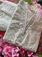 Chikankari Mirror Dress-3 Chikankari Mirror Dress-3